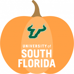 University of South Florida